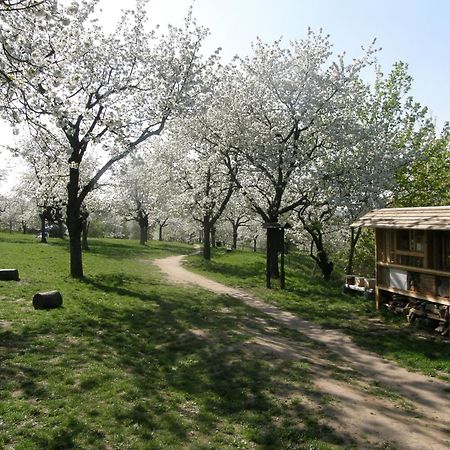Ubytovna Toulcuv Dvur Prag Exterior foto
