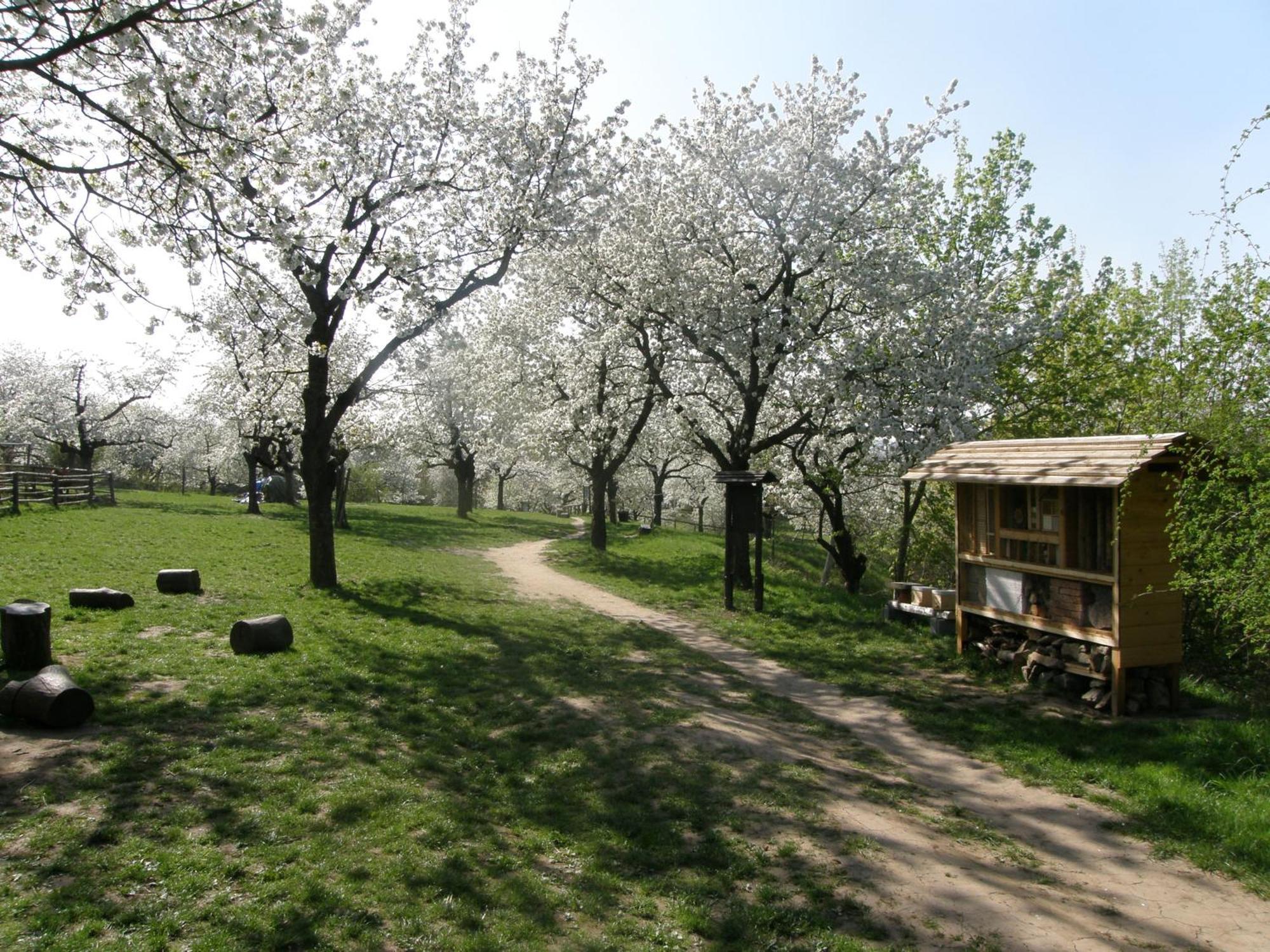 Ubytovna Toulcuv Dvur Prag Exterior foto