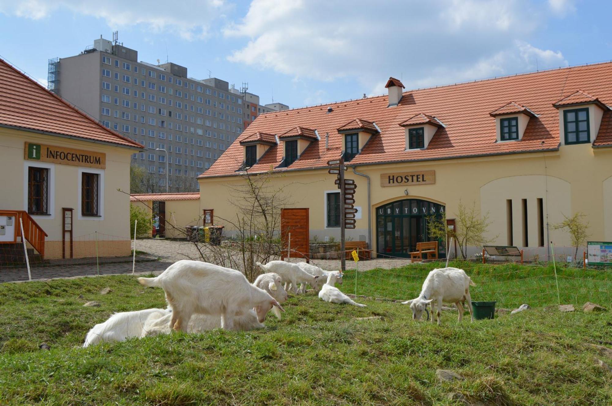 Ubytovna Toulcuv Dvur Prag Exterior foto